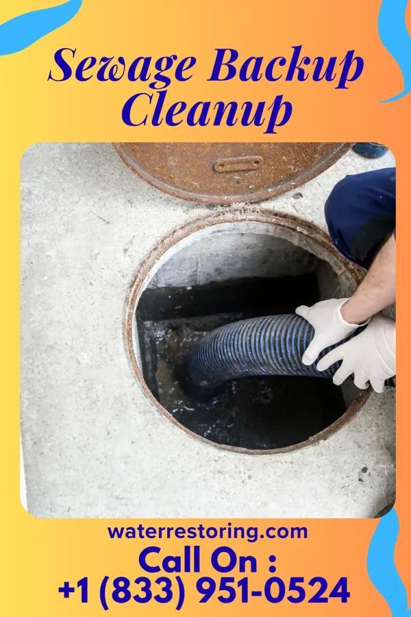 Sewage Backup Cleanup in St. Louis, OK